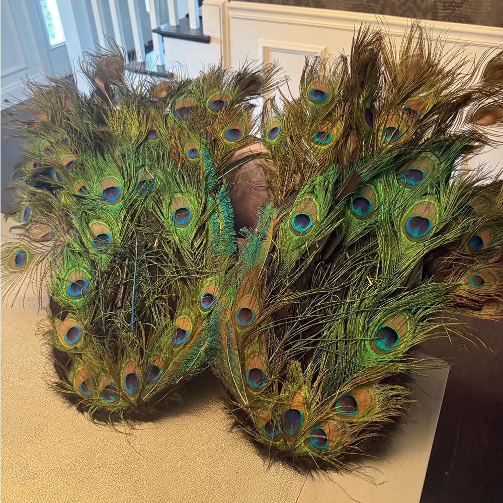 Elegant Peacock Feather wings for Halloween costume or masquerade